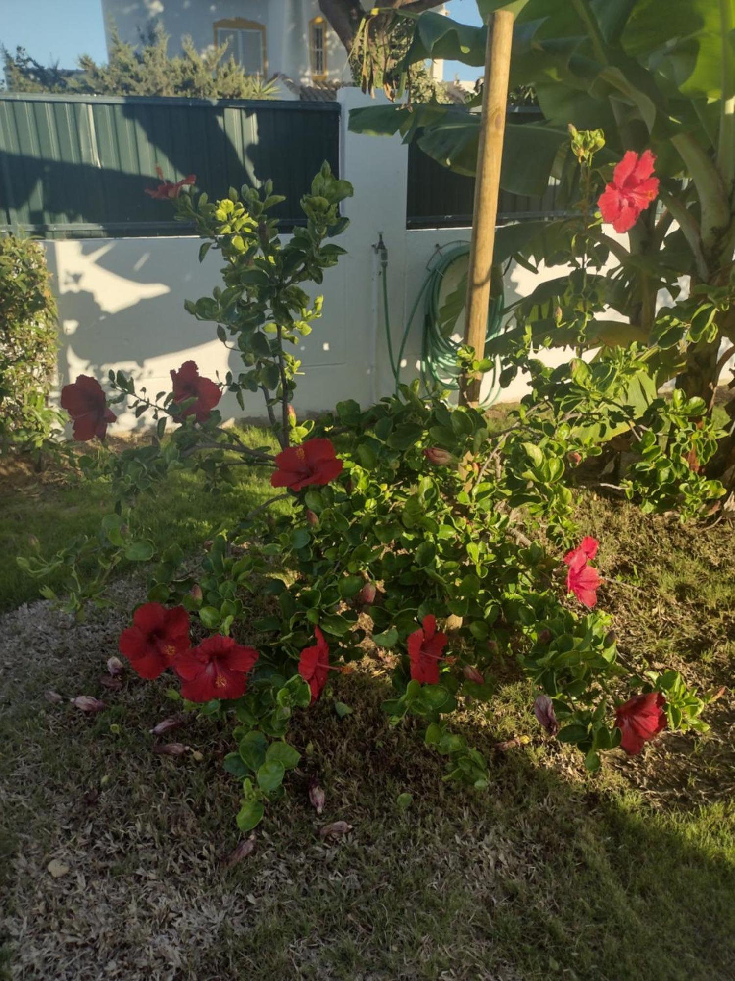 Nightingale Villa Albufeira Bagian luar foto
